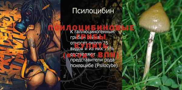 MESCALINE Армянск