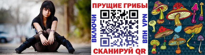 Псилоцибиновые грибы Cubensis  Минусинск 